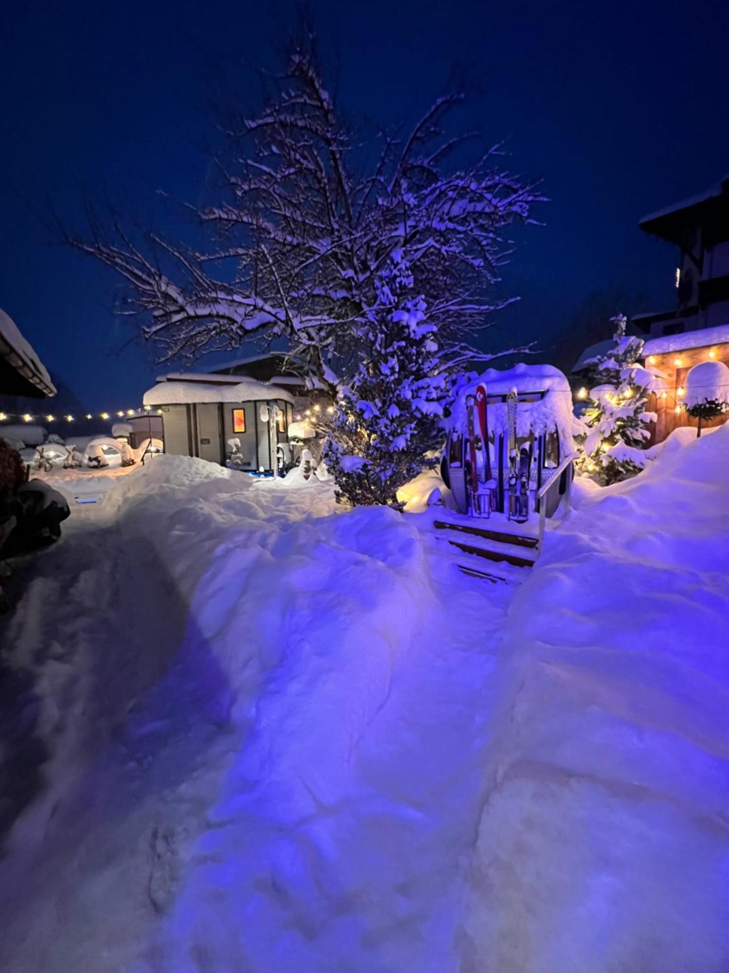 Alpenhotel Tyrol - B&B Konzepthotel - Adults Only 佩尔蒂绍 外观 照片
