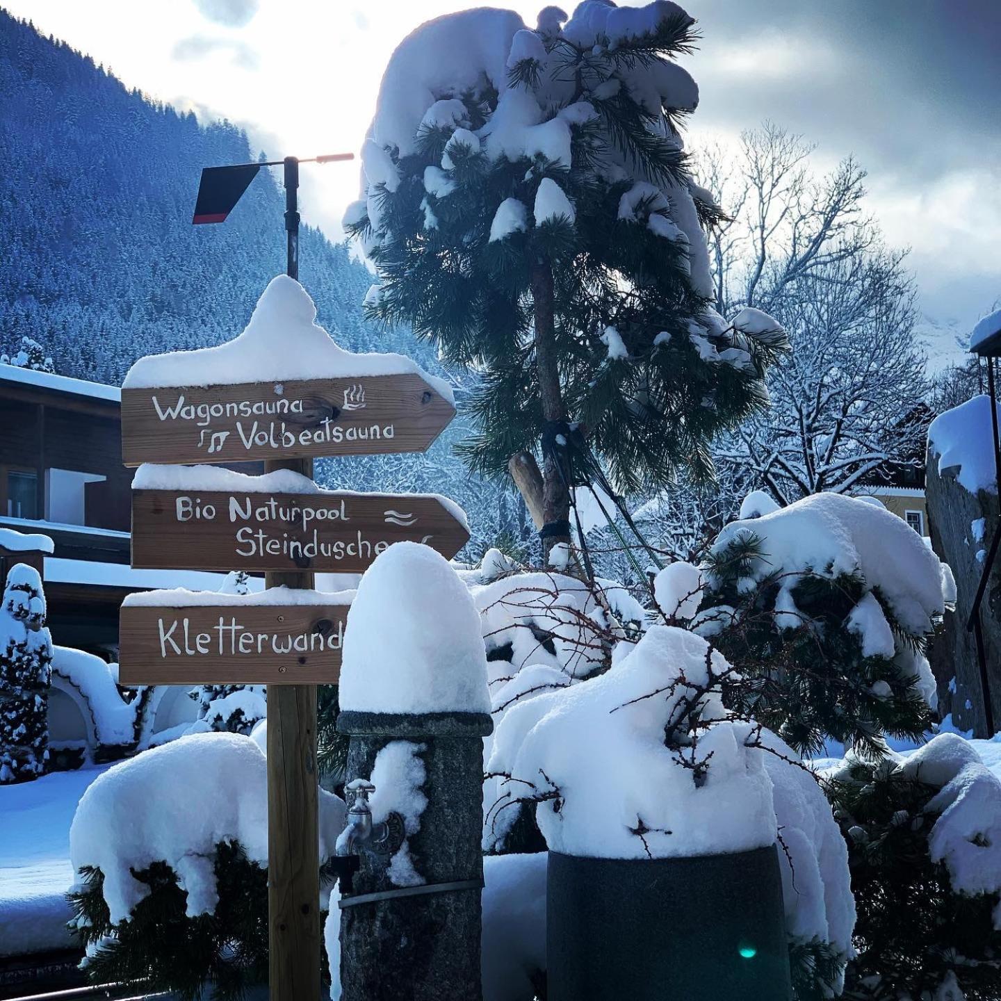 Alpenhotel Tyrol - B&B Konzepthotel - Adults Only 佩尔蒂绍 外观 照片